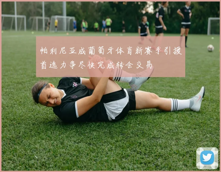 帕利尼亚成葡萄牙体育新赛季引援首选力争尽快完成转会交易