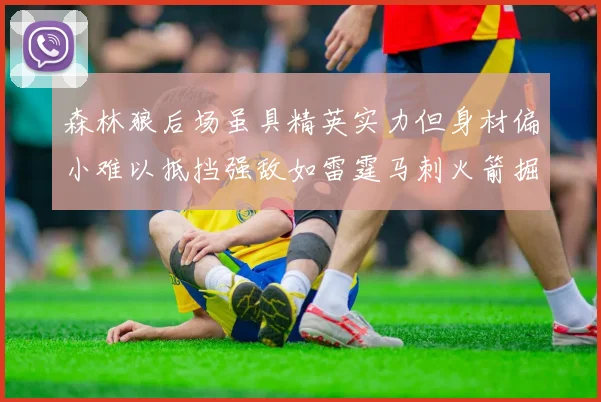 森林狼后场虽具精英实力但身材偏小难以抵挡强敌如雷霆马刺火箭掘金
