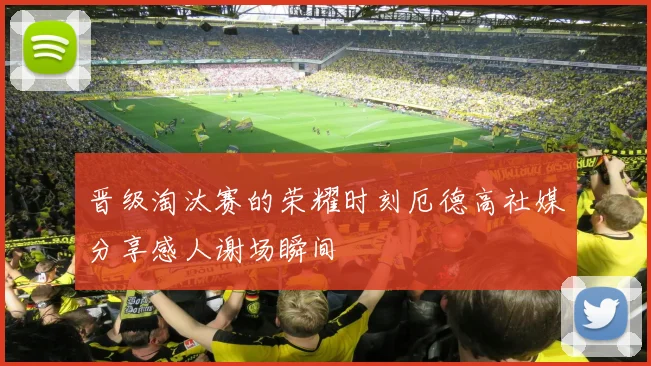 晋级淘汰赛的荣耀时刻厄德高社媒分享感人谢场瞬间